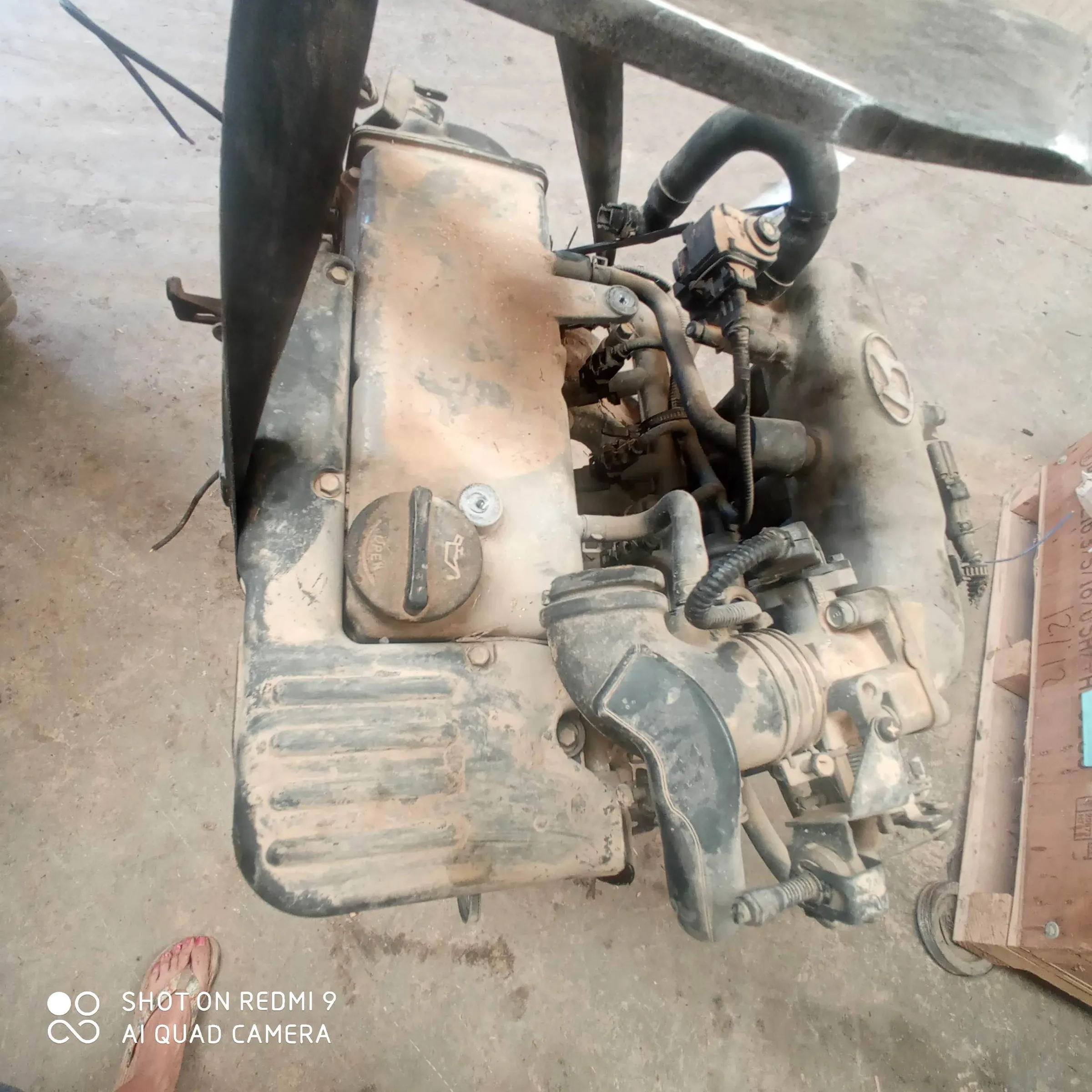 MOTOR